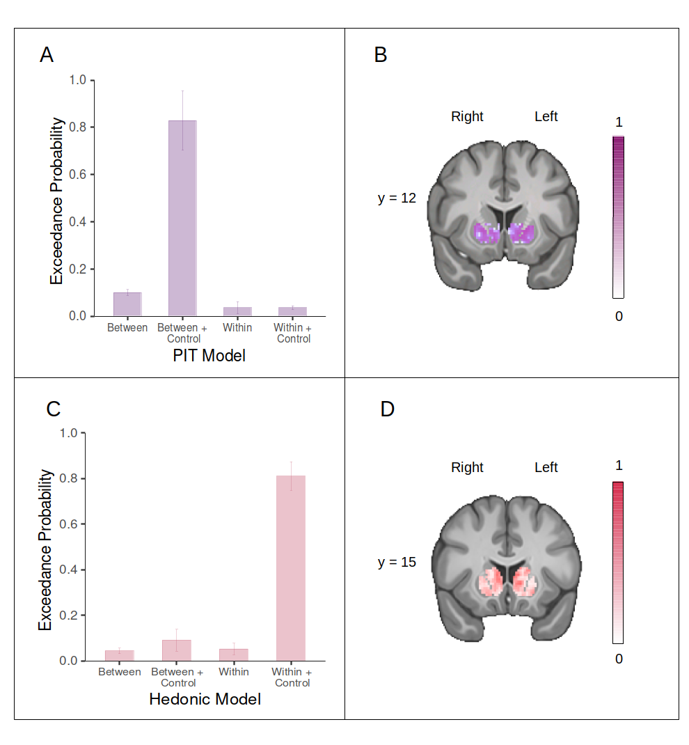 brain